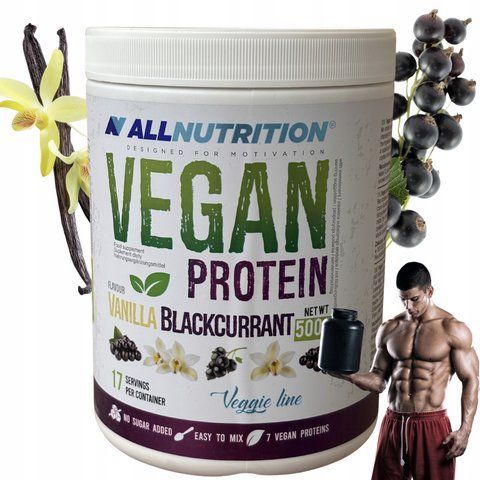 Набір рослинного протеїну Allnutrition Vegan Protein 500 г зі смаком ванілі та смородини